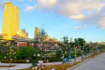 Nakanoshima Park